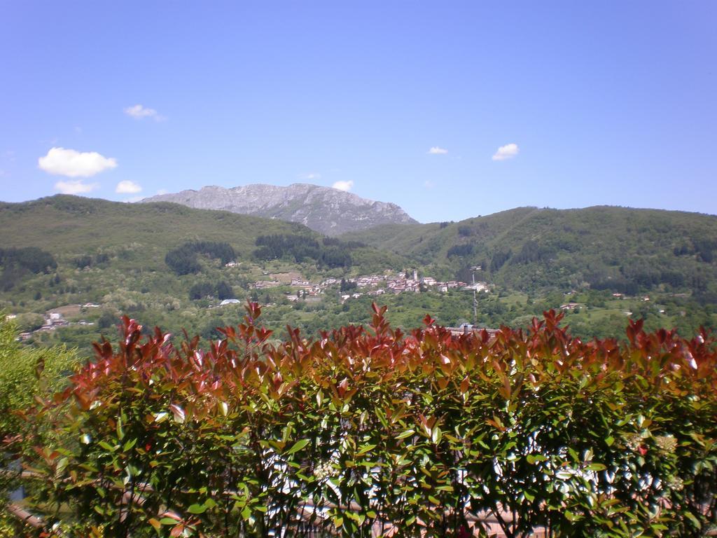 Camporgiano B&B Da Franca מראה חיצוני תמונה