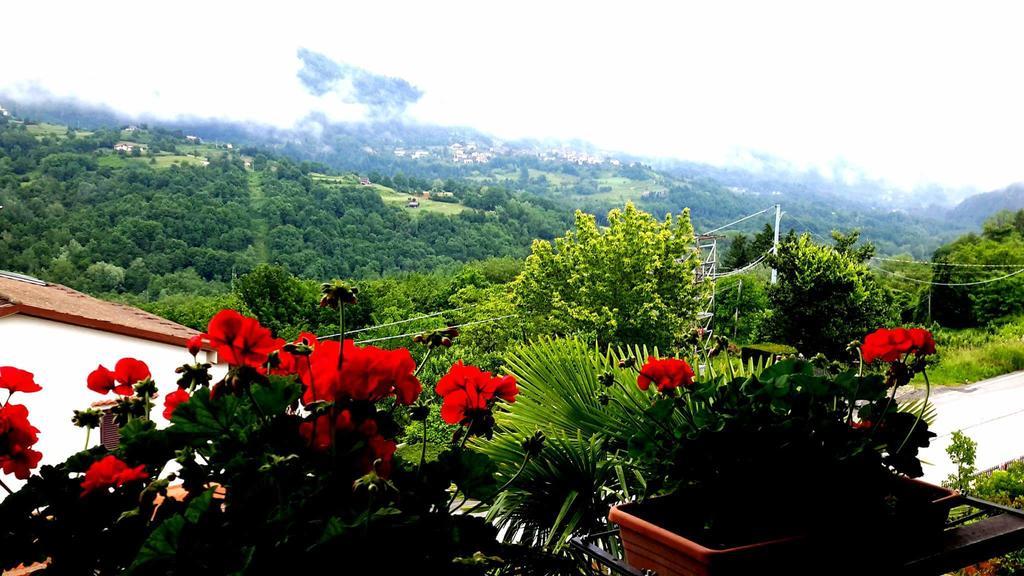 Camporgiano B&B Da Franca מראה חיצוני תמונה